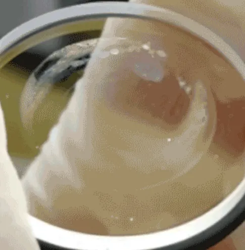 info-485-494 info-485-494